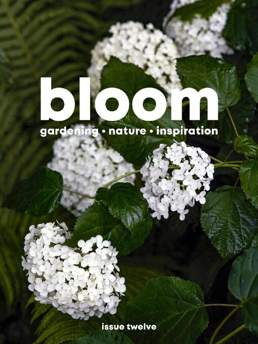 Title details for Bloom by Sylvie Studio Ltd - Available